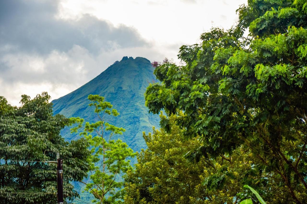 Yellow Tree Suites La Fortuna Luaran gambar