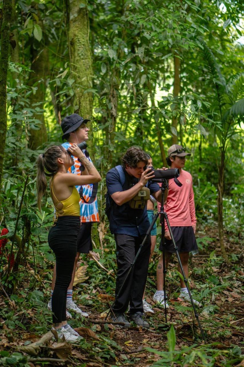 Yellow Tree Suites La Fortuna Luaran gambar